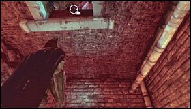 1 - Botanical Gardens #2 | Opis przejścia Batman Arkham Asylum - Batman: Arkham Asylum - poradniki