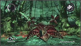 11 - Botanical Gardens #2 | Opis przejścia Batman Arkham Asylum - Batman: Arkham Asylum - poradniki