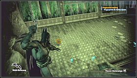 [#5] Lokalizacja 5: Aviary (Botanical Gardens) - Botanical Gardens (cz.2) | Sekrety Batman Arkham Asylum - Batman: Arkham Asylum - poradniki