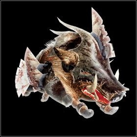 Armored Boar - Bestiariusz - cz. 1 | Bestiariusz | Divinity II Ego Draconis - Divinity II: Ego Draconis - poradniki