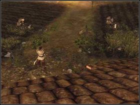 6 - Wyspa Faranga | Rozdział 1 | Solucja Risen - Risen - poradnik do gry