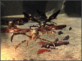 Po wykonaniu zadania Sługus Brogara , możemy zapytać Brogara (M3 - Obóz Bandytów (2) | Rozdział 1 | Solucja Risen - Risen - poradnik do gry