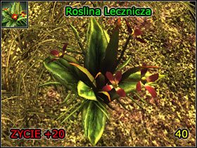 3 - Wulkaniczna Twierdza - (4) | Rozdział 1 | Solucja Risen - Risen - poradnik do gry