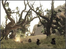 Przekraczamy most, przebijamy się przez zastępy gnomów i docieramy do przejętych przez nie ruin - Wyspa Faranga (3) | Rozdział 2 | Solucja Risen - Risen - poradnik do gry