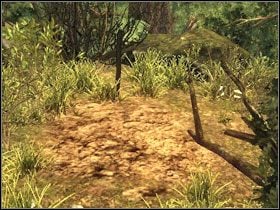 Pora na przeszukanie pięciu anonimowych grobów rozsianych po wyspie - Wyspa Faranga (3) | Rozdział 2 | Solucja Risen - Risen - poradnik do gry