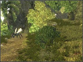 10 - Wyspa Faranga (3) | Rozdział 2 | Solucja Risen - Risen - poradnik do gry