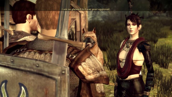 4 - Dragon Age Początek: Porady na start - Dragon Age: Początek - poradnik do gry