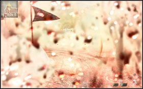 Nadszedł czas udać się w miejsce ewakuacji - Delta - Akceptowalne straty | Operacje specjalne | Osiągnięcia - Call of Duty: Modern Warfare 2 - poradnik do gry