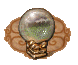 Koszt: 2 spell points - Air Magic w Heroes of Might & Magic III The Restoration of Erathia - Heroes of Might & Magic III: The Restoration of Erathia - poradnik do gry