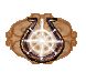 Koszt: 7 spell points - Air Magic w Heroes of Might & Magic III The Restoration of Erathia - Heroes of Might & Magic III: The Restoration of Erathia - poradnik do gry