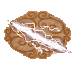 Koszt: 10 spell points - Air Magic w Heroes of Might & Magic III The Restoration of Erathia - Heroes of Might & Magic III: The Restoration of Erathia - poradnik do gry