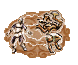 Koszt: 24 spell points - Air Magic w Heroes of Might & Magic III The Restoration of Erathia - Heroes of Might & Magic III: The Restoration of Erathia - poradnik do gry