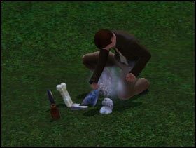 079 - [Rozgrywka] Kluczowe elementy - cz. 3 w The Sims 3 Wymarzone Podróże - The Sims 3: Wymarzone Podróże - poradnik do gry