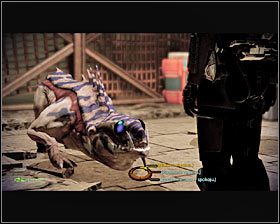 Z mięsem możesz podejść do varrena leżącego na lewo od Ratcha i podarować bestii przysmak - Mass Effect 2: Tuchanka - lista zadań, opis przejścia - Mass Effect 2 - poradnik do gry