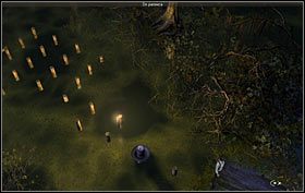 Po dotarciu na słupek nr 14 musisz stworzyć własny słupek, ponieważ ten przed Nicole jest prawie całkowicie zanurzony w wodzie - Chatka na bagnach - Luizjana (cz. 2) - Opis przejścia - 22.10.2009 - Art of Murder: Karty Przeznaczenia - poradnik do gry