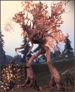 1 - M5 Nieprzebyty Las | Mapy | Atlas świata w Dragon Age Początek Przebudzenie - Dragon Age: Początek - Przebudzenie - poradnik do gry