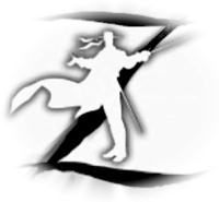 Wii-Zorro pod tegoroczną choinką - ilustracja #1