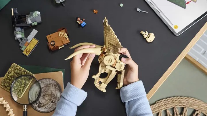 Źródło: LEGO - 20 lat temu marzyłem o takich LEGO, dziś mogę je mieć! Zestaw z czaszką triceratopsa teraz 60 zł taniej niż w sklepie LEGO - wiadomość - 2025-10-16