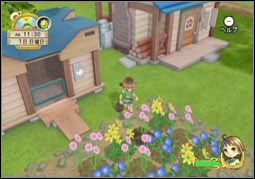 Natsume ujawnia nowe informacje na temat Harvest Moon w wersji na Wii - ilustracja #4