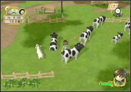 Natsume ujawnia nowe informacje na temat Harvest Moon w wersji na Wii - ilustracja #2