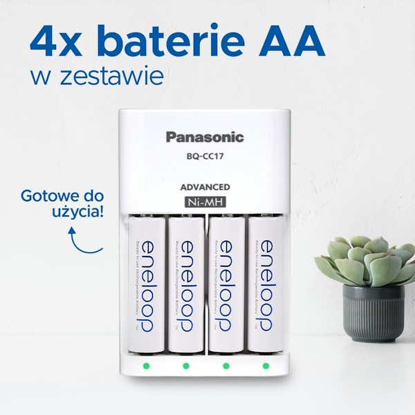 Źródło: Panasonic.