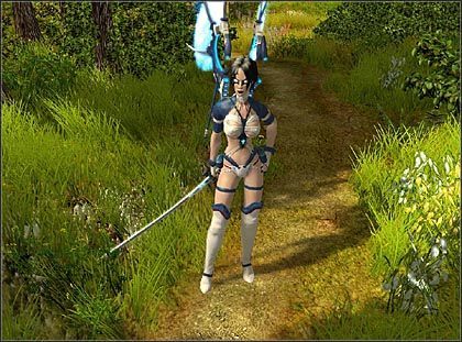 Ascaron pracuje nad konwersją gry Sacred 2: Fallen Angel na konsolę Xbox 360 - ilustracja #1