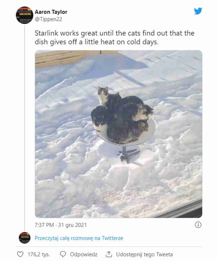 Koty uwielbiają anteny Starlinka - ilustracja #1