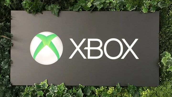 Microsoft chwali się sukcesami Xboxa i Gamepassa - ilustracja #1
