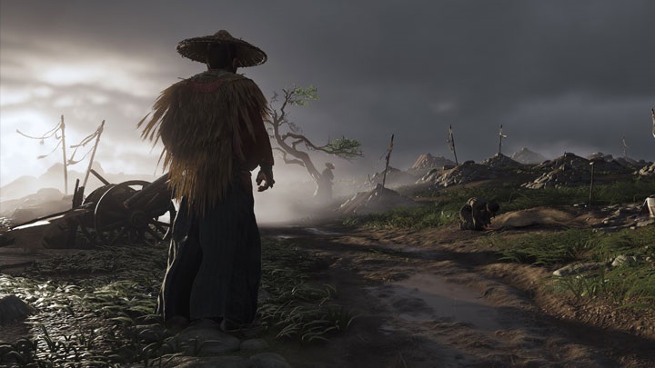 Otwarty świat gry wydaje się dość posępny. Choć być może to tylko kwestia pogody? - Ghost of Tsushima - zatrzęsienie informacji z E3 - wiadomość - 2018-06-15