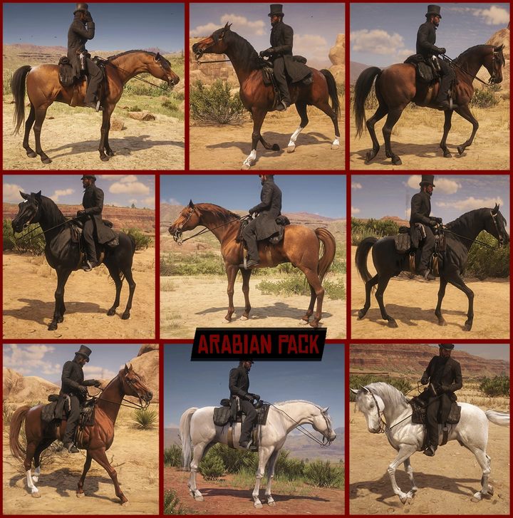 Nowe, realistyczne rasy koni w RDR2 dzięki tej modyfikacji - ilustracja #2