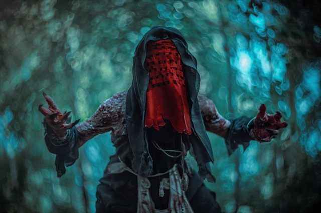 Źródło: Elena Nerium Oleander - Najlepsze cosplaye - Pani Lasu z gry Wiedźmin 3: Dziki Gon - wiadomość - 2014-09-20