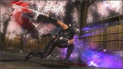 Ubiegły rok w oczach Tecmo Koei - słabe zainteresowanie Samurai Warriors 3 i Ninja Gaiden Sigma 2 - ilustracja #2