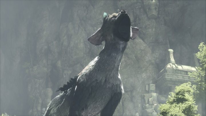 Stworzenie złudzenia, że Trico to żywa i naturalnie zachowująca się istota, zajęło twórcom wiele czasu. - The Last Guardian w 2016 roku potwierdzone - nowe screeny oraz wrażenia z rozgrywki - wiadomość - 2016-05-27