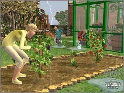 Sims 2: Seasons – nowy dodatek zapowiedziany - ilustracja #3
