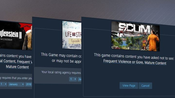 Ostrzeżenia i podawanie wieku to jedynie element całego systemu kontroli treści. - Steam dalej walczy z deweloperami trollami i bierze pod lupę gry dla dorosłych - wiadomość - 2018-09-07