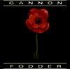 Inspirowana serią Cannon Fodder strzelanka Tiny Troopers także na PC - ilustracja #4