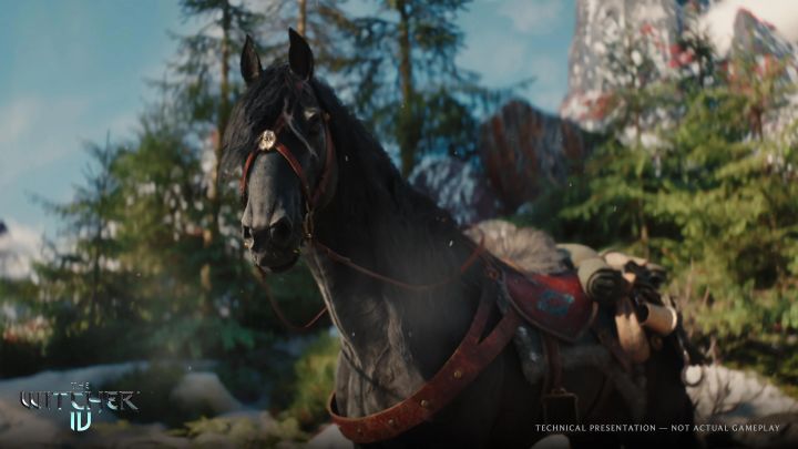 Źródło: CD Projekt Red - Jeden element Wiedźmina 4 już zachwycił fanów oryginału od Sapkowskiego. „Wygląda niemal dokładnie jak w książce” - wiadomość - 2025-06-04