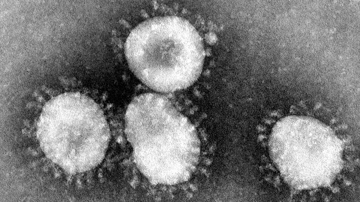Blokada informacyjna Chin utrudniła walkę z wirusem SARS. - Wirus w Chinach przyniósł wzrost popularności Plague Inc. - wiadomość - 2020-01-24