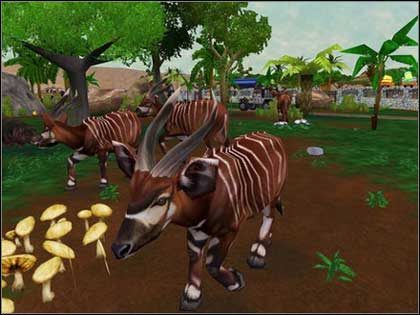 Zoo Tycoon 2: African Adventure w sklepach - ilustracja #2