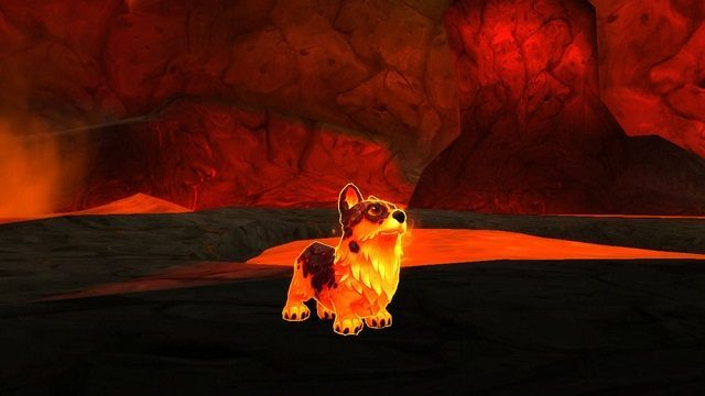 Molten Corgi – wow, dużo ognia, słodki, uszanowanko. - World of Warcraft - rozpoczęły się obchody dziesięciolecia - wiadomość - 2014-11-21