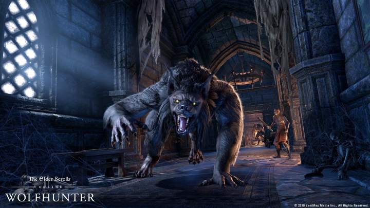 Wilkołaki będą główną „atrakcją” kolejnego rozszerzenia do The Elder Scrolls Online. - Bethesda zapowiada dodatek Isle of Madness do The Elder Scrolls Legends - wiadomość - 2018-08-12