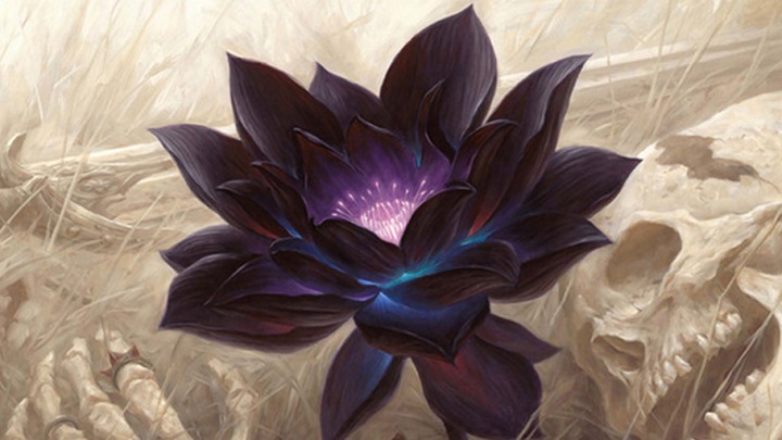 Niepozorny kwiat warty ponad pół miliona złotych – przynajmniej jako karta. - Magic The Gathering – karta Black Lotus sprzedana za 166 tys. dolarów - wiadomość - 2019-03-09