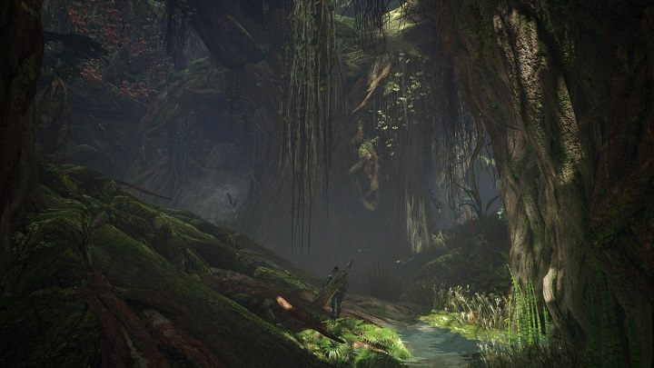 W ostatnich latach reputacja wielu deweloperów ucierpiała przez traktowanie PC-towych graczy po macoszemu. Capcom nie ma zamiaru popełniać tego błędu. - Monster Hunter World opóźniony na PC, by zapewnić odpowiednią optymalizację - wiadomość - 2017-06-17