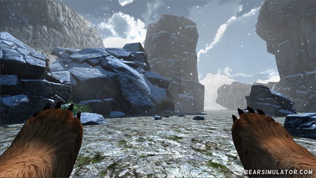 Akcja w grze Bear Simulator ukazana ma być z perspektywy FPB (First Person Bear). - Bear Simulator - symulator niedźwiedzia sfinansowany na Kickstarterze - wiadomość - 2014-03-23