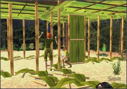 Pierwsze screenshoty z gry The Sims 2: Castaway w wersji na Wii - ilustracja #1
