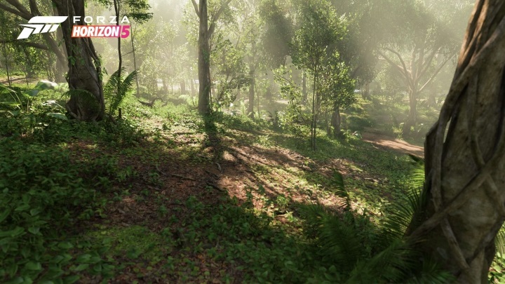 Screenshoty z Forza Horizon 5 ukazują piękno i różnorodność Meksyku - ilustracja #1