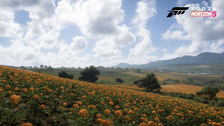 Screenshoty z Forza Horizon 5 ukazują piękno i różnorodność Meksyku - ilustracja #3