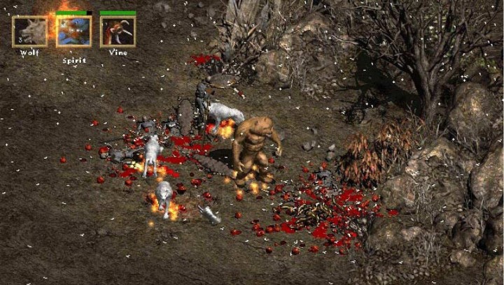 Diablo 2: Resurrected na BlizzCon 2021 - przeciek wskazuje na prezentację gry - ilustracja #1
