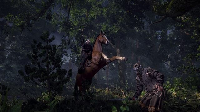 Geralt może i nie walczył z siodła w książkach, ale petardami, jak by nie patrzeć, też raczej nie ciskał. - Wiedźmin 3: Dziki Gon – wywiad z twórcami ujawnia nowe szczegóły na temat gry - wiadomość - 2013-07-08