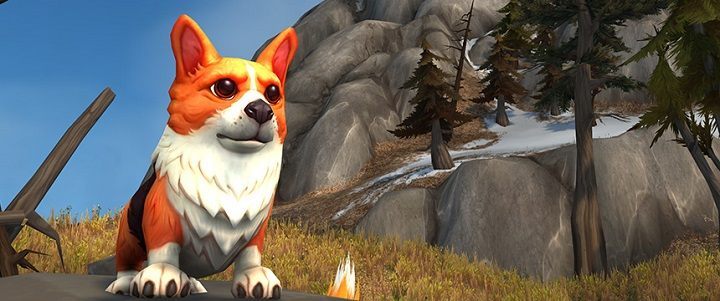 Corgi Pup dostępny w sklepie World of Warcraft. - Blizzard świętuje 12. urodziny World of Warcraft - wiadomość - 2016-11-22